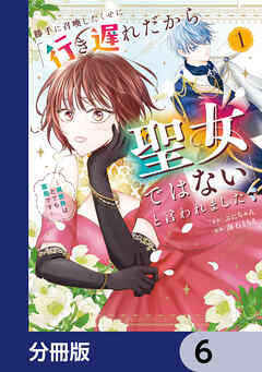 勝手に召喚したくせに「行き遅れだから聖女ではない」と言われました　～異世界はとても面倒です～【分冊版】　6