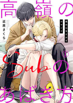 【期間限定　無料お試し版】高嶺のSubのあばき方～君の心をとかすコマンド～