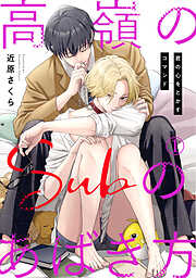 【期間限定　無料お試し版】高嶺のSubのあばき方～君の心をとかすコマンド～