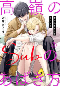 【期間限定　無料お試し版】高嶺のSubのあばき方～君の心をとかすコマンド～