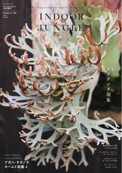 INDOOR JUNGLE No.02