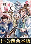 【合本版1-3巻】戦国一の職人　天野宗助