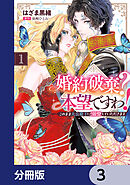 婚約破棄？ 本望ですわ！　このまま大公殿下に溺愛していただきます【分冊版】　3