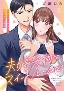 夫婦契約はスイートルームで～ムカつく御曹司と蜜月ホテル経営3巻