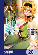 異世界迷宮でハーレムを【分冊版】　20