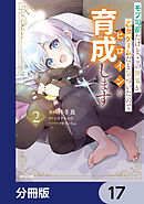 モブ司祭だけど、この世界が乙女ゲームだと気づいたのでヒロインを育成します【分冊版】　17