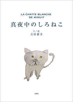 真夜中のしろねこ