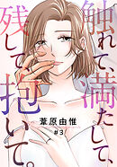 触れて、満たして、残して、抱いて。 3巻