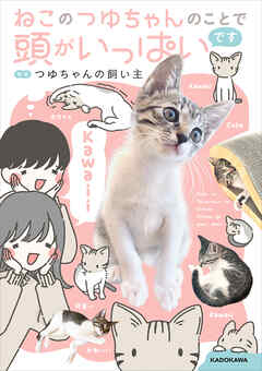 ねこのつゆちゃんのことで頭がいっぱいです