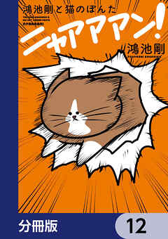 鴻池剛と猫のぽんた ニャアアアン！【分冊版】　12