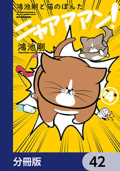 鴻池剛と猫のぽんた ニャアアアン！【分冊版】　42