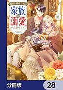 無能な継母ですが、家族の溺愛が止まりません！【分冊版】　28