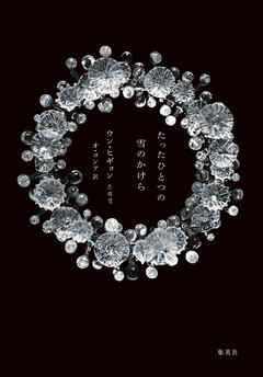 たったひとつの雪のかけら