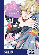 金魚屋さんのかりそめ夫婦【分冊版】　22