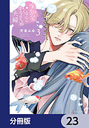 金魚屋さんのかりそめ夫婦【分冊版】　23