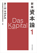 新版　資本論　第１分冊