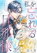 私を忘れる旦那様～七日の恋を何度でも、またあなたと3巻