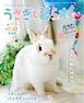 うさぎと暮らす 2026年7月号 No100
