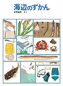 海辺のずかん