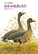 かわやぬまのとり　日本の野鳥５