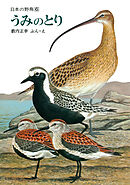 うみのとり　日本の野鳥６