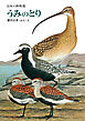 うみのとり　日本の野鳥６