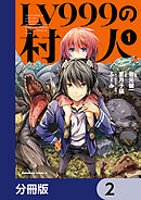 LV999の村人【分冊版】　2