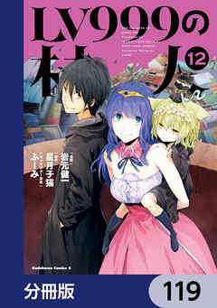 LV999の村人【分冊版】　119