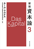 新版　資本論　第3分冊