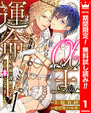 【期間限定　無料お試し版】α王の運命～王妃候補の護衛のはずが王の番になりました～ 1