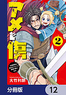 アメと傷【分冊版】　12