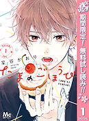 【期間限定　無料お試し版】たまのごほうび