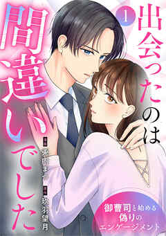 出会ったのは間違いでした～御曹司と始める偽りのエンゲージメント～