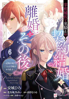 【単話版】宰相補佐と黒騎士の契約結婚と離婚とその後 ～辺境の地で二人は夫婦をやり直す～　第6話