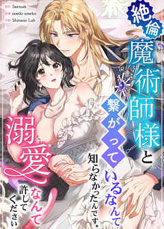 絶倫魔術師様と繋がっているなんて知らなかったんです。溺愛なんて許してください【完全版】【タテヨミ】（３３）