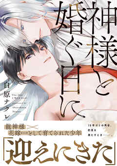神様と婚ぐ日に【電子限定描き下ろし漫画付き】