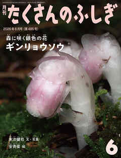 ギンリョウソウ（たくさんのふしぎ2026年6月号）　森に咲く銀色の花