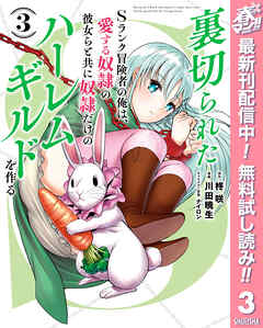 【期間限定　無料お試し版】裏切られたSランク冒険者の俺は、愛する奴隷の彼女らと共に奴隷だけのハーレムギルドを作る 3