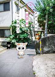 【期間限定　無料お試し版】メチャイロちいき猫やってます！