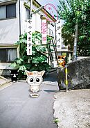 【期間限定　無料お試し版】メチャイロちいき猫やってます！