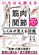 いちばん使える　筋肉と関節　しくみが見える図鑑