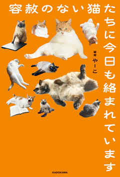 容赦のない猫たちに今日も絡まれています