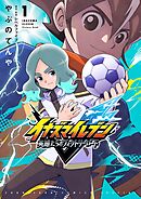 イナズマイレブン 英雄たちのヴィクトリーロード