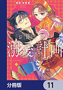 お飾り姫の溺愛計画【分冊版】　11