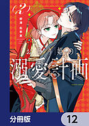 お飾り姫の溺愛計画【分冊版】　12