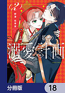 お飾り姫の溺愛計画【分冊版】　18