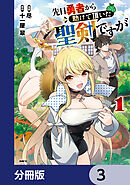先日勇者から助けて頂いた聖剣ですが【分冊版】　3