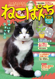 ねこぱんち No.224 モフモフ♪ネコぐらし号