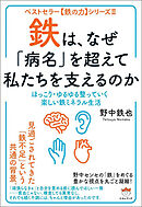 鉄は、なぜ「病名」を超えて私たちを支えるのか ほっこり・ゆるゆる整っていく楽しい鉄ミネラル生活