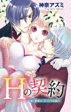 【期間限定　無料お試し版】Ｈの契約